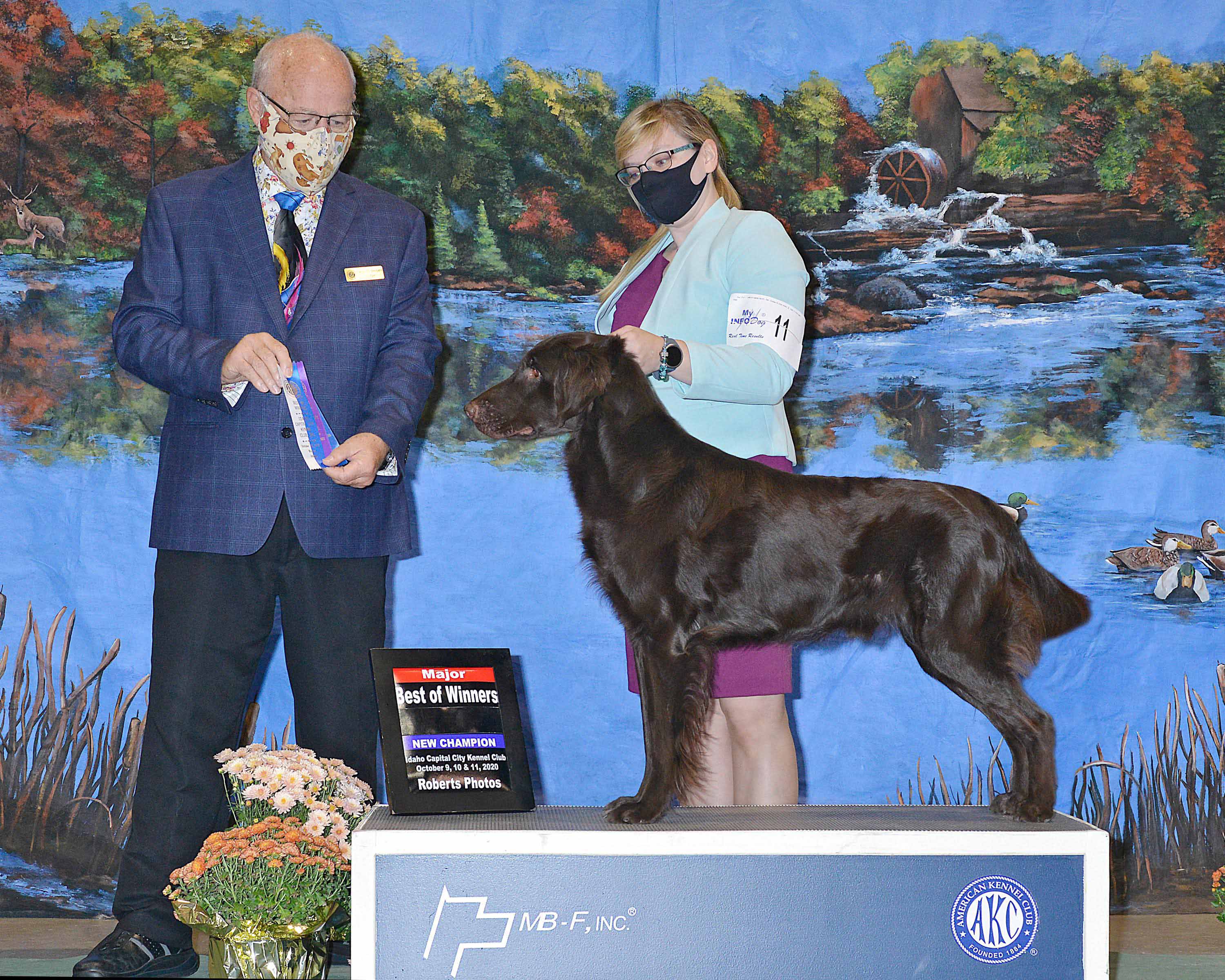 AKC CH Beautyfield's I�m Legend - "Milo"