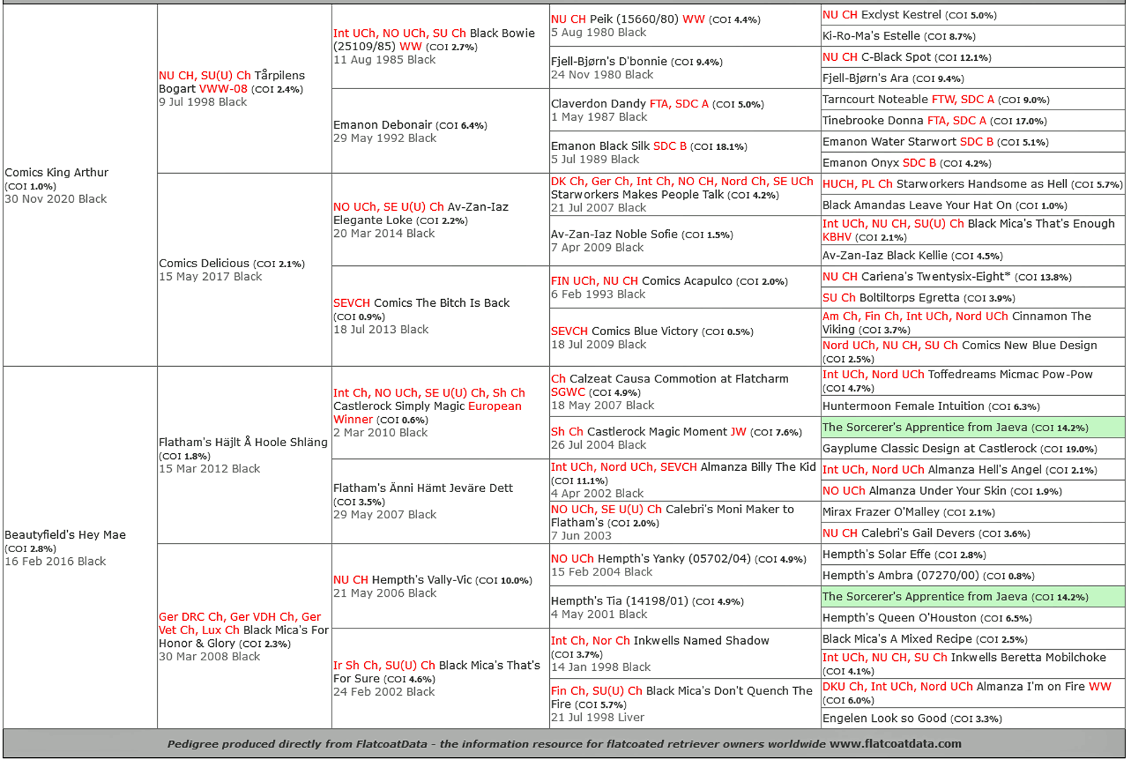 Pedigree of the Future Beautyfield's O�s