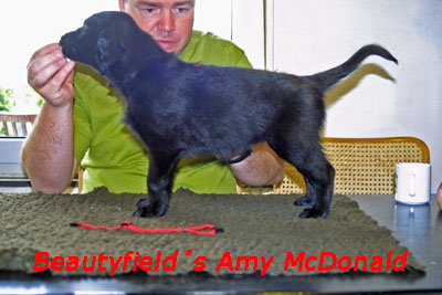 Beautyfield´s Amy McDonald