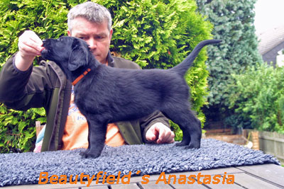 Beautyfield´s Anastacia
