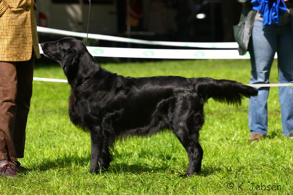 Lich 2010 /&nbsp;BIS2 BOB&nbsp;BIS&nbsp;VetCAC Exc 1 intCH&nbsp;Calebris Coco Beautyfield Mousse