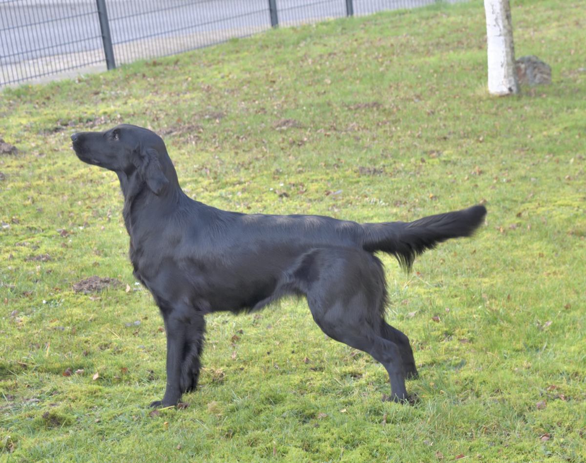 Beautyfield's Loch Awe