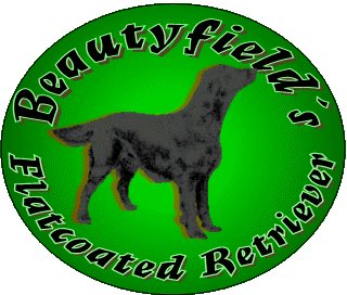 Entry to the MainSides /&nbsp;Eingang zu den Hauptseiten